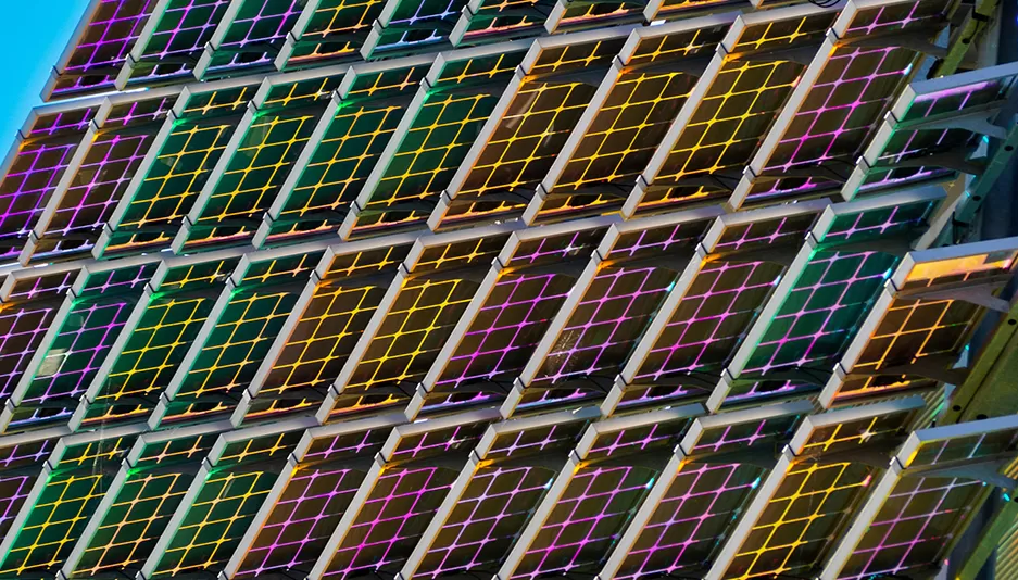 Distribution régionale et paysage concurrentiel